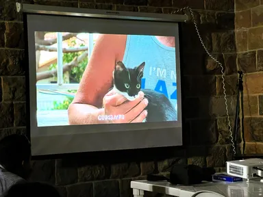 A projection screen shows video footage of a person holding a black-and-white kitten, with the on-screen file name "C0043.MP4" visible.