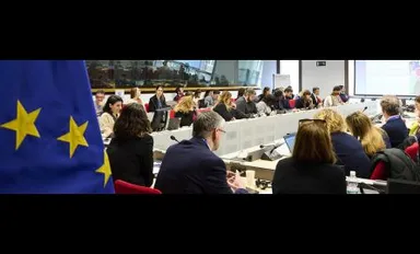 Panoramic view of a meeting room with the EU flag in the foreground and people seated at long conference tables.