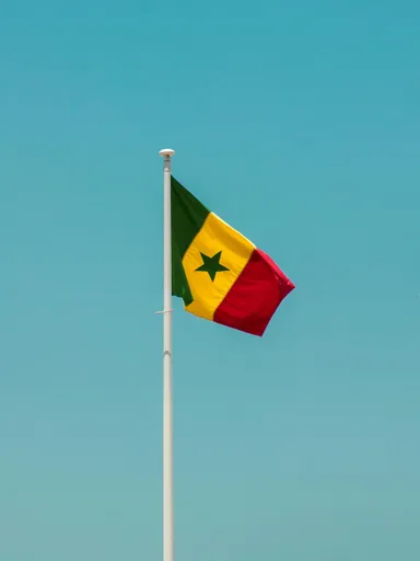 A flag with green, yellow and red vertical stripes and a green star at its center flies from a white pole against a clear blue sky.