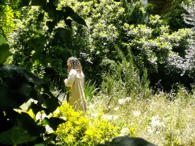 A person stands filming with a camera on a tripod in a garden, partly hidden behind dense green shrubs and white flowers.